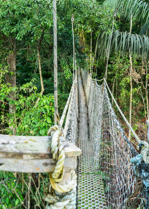 Cheap Flights to Guyana Caribbean Airlines